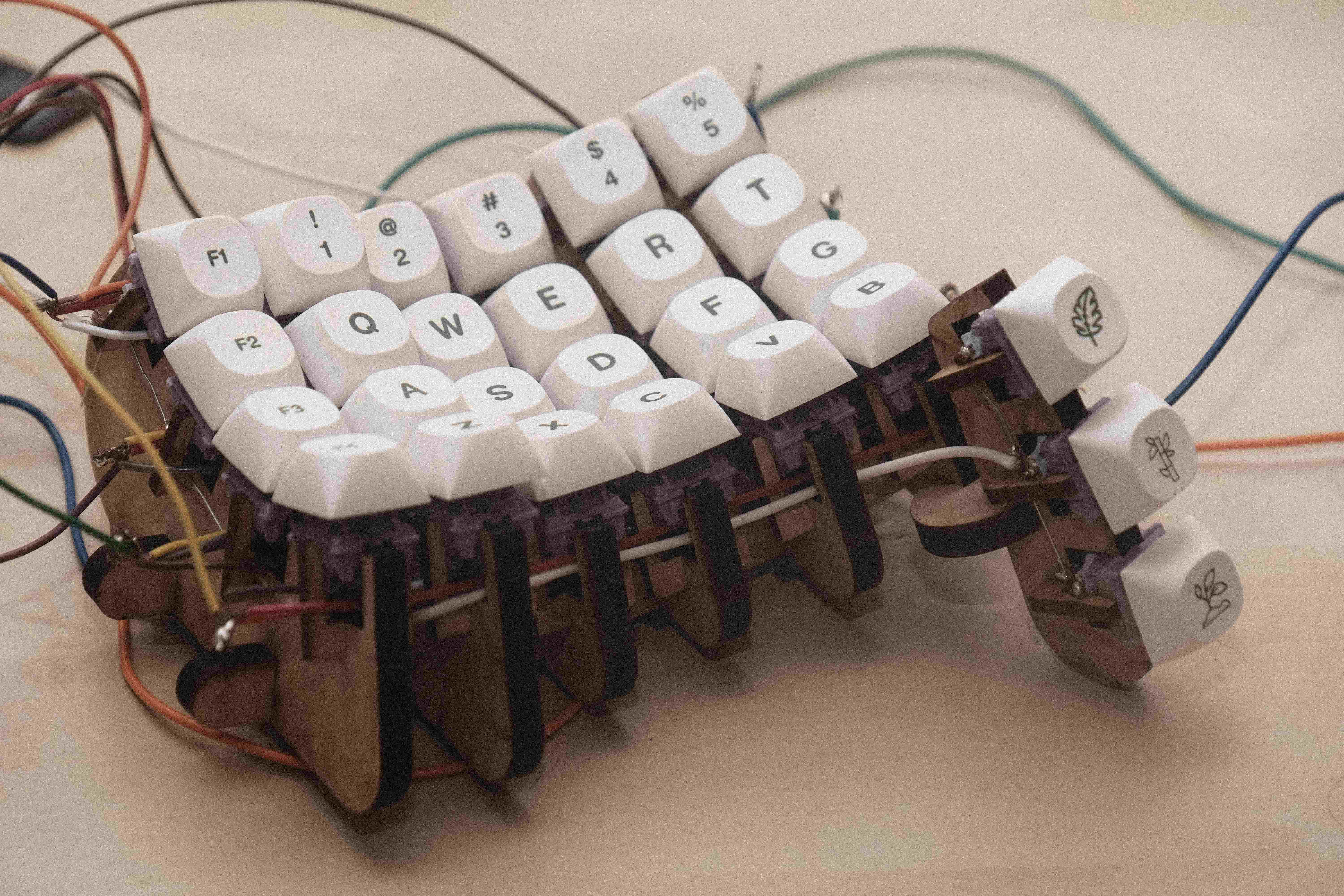 the top of the keyboard, showing the keys mounted in a grid